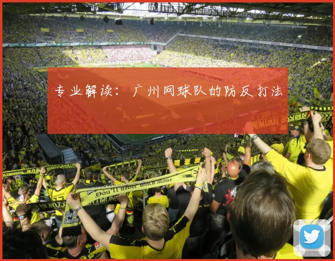 专业解读：广州网球队的防反打法