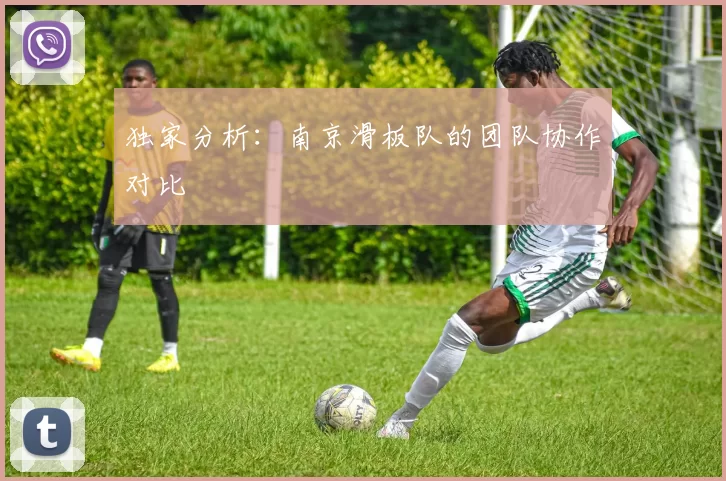 独家分析：南京滑板队的团队协作对比