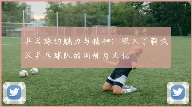 乒乓球的魅力与精神：深入了解武汉乒乓球队的训练与文化