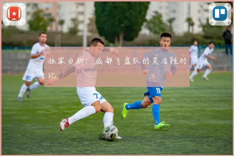 独家分析：成都飞盘队的灵活性对比