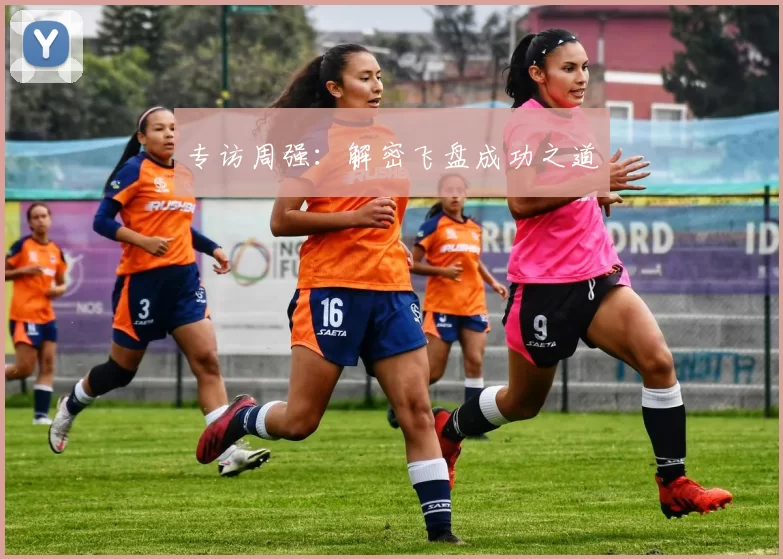 专访周强：解密飞盘成功之道