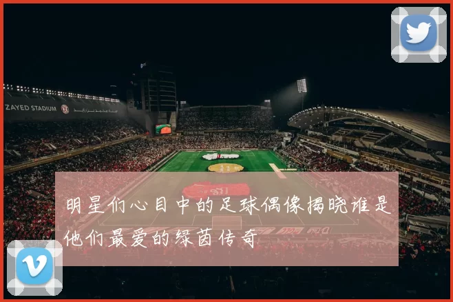 明星们心目中的足球偶像揭晓谁是他们最爱的绿茵传奇